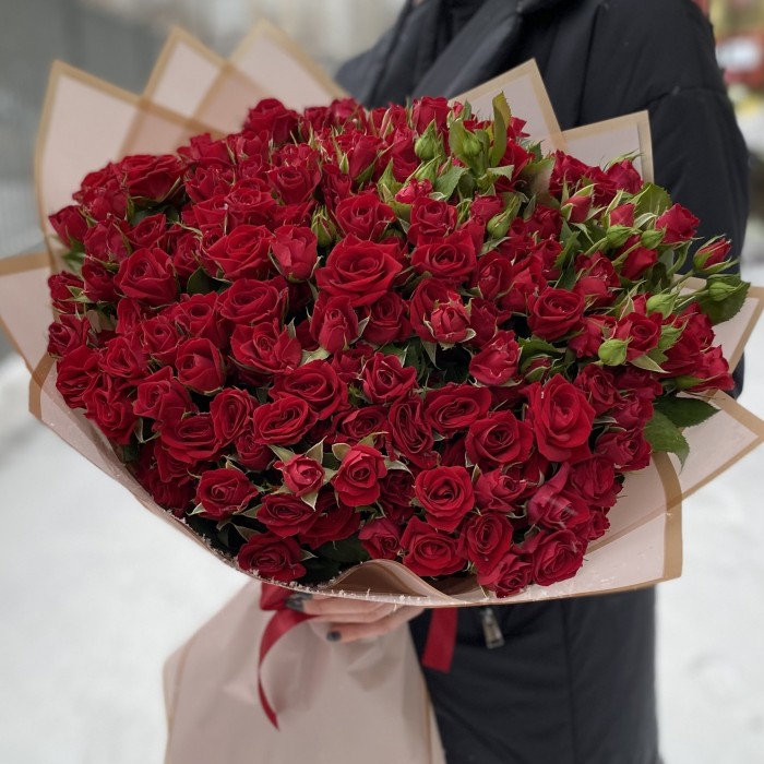 51 кустовая красная роза Рубикон 50 см